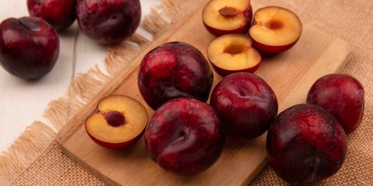 Ameixa descartada SC: produtor emociona ao perder 50 toneladas