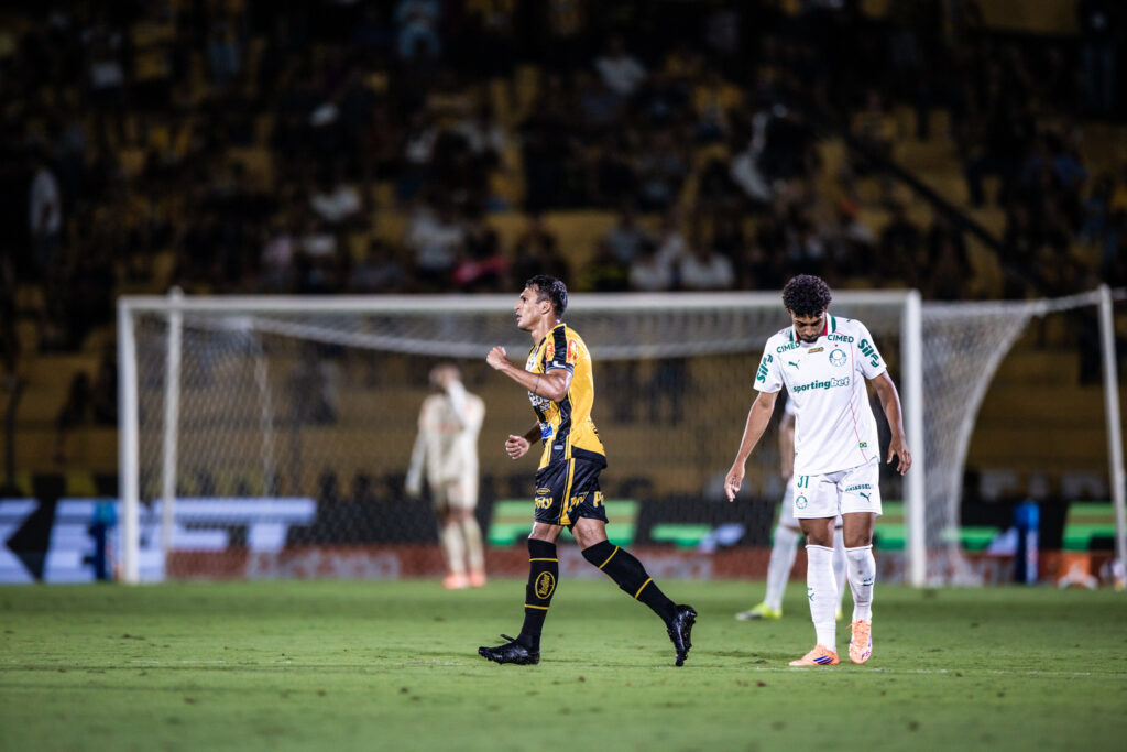 Palmeiras Novorizontino