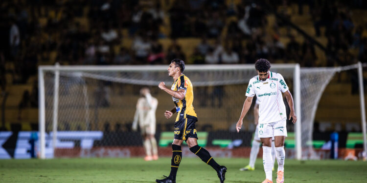 Palmeiras Novorizontino