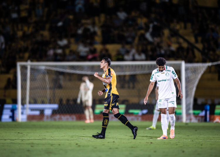 Palmeiras Novorizontino