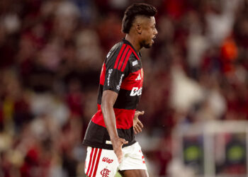 Bruno Henrique Palmeiras