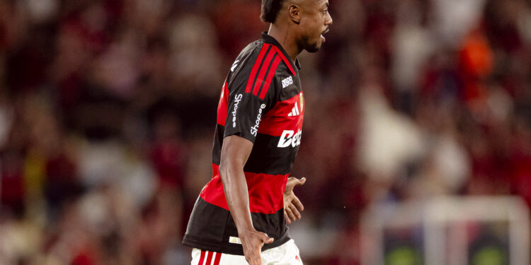 Bruno Henrique Palmeiras