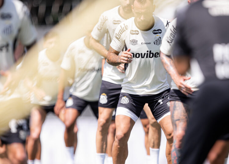 Santos Cuca
