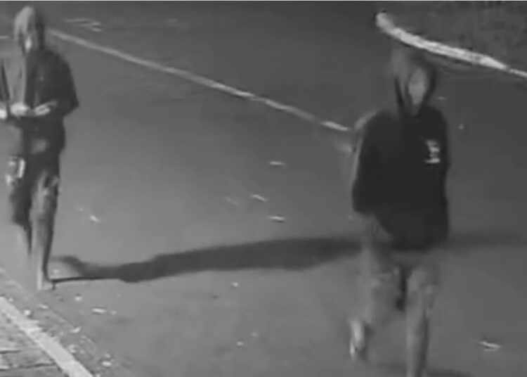 Assalto a duas mulheres