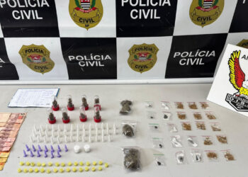 Operação da Polícia Civil em Hortolândia apreende adolescente