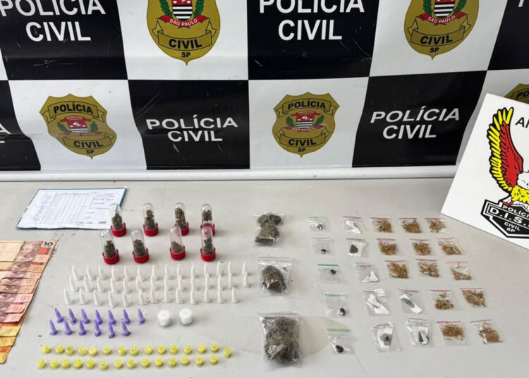 Operação da Polícia Civil em Hortolândia apreende adolescente