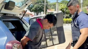 Suspeito de matar companheira a facadas em Hortolândia confessa crime e diz ter agido por ciúmes