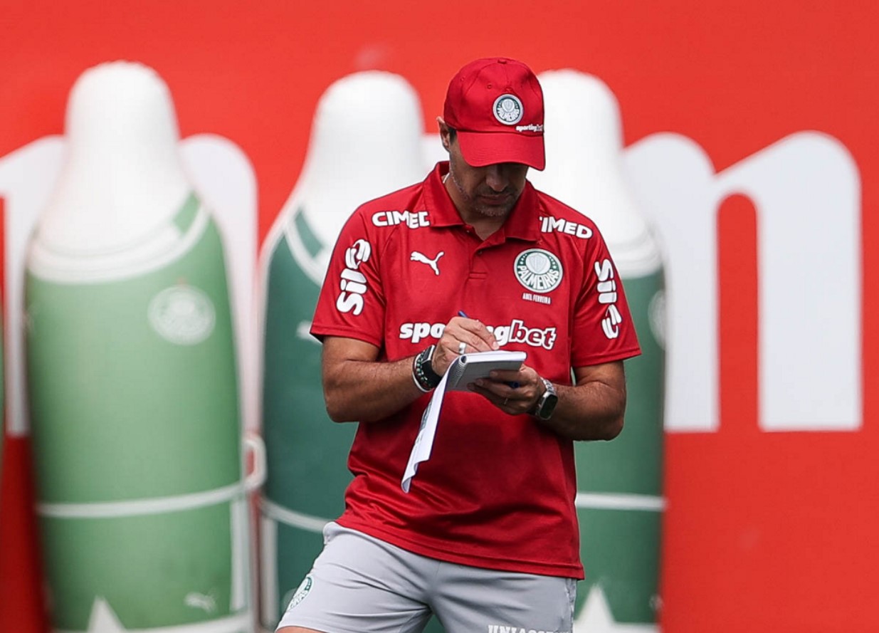 Palmeiras abel