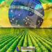 Agro Brasil