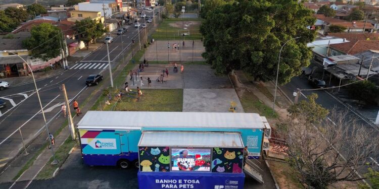 Caminho da Capacitação