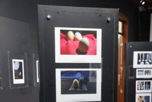 Exposição fotográfica “Desafio Ovo” transforma alimento em arte no Museu Estação Jacuba