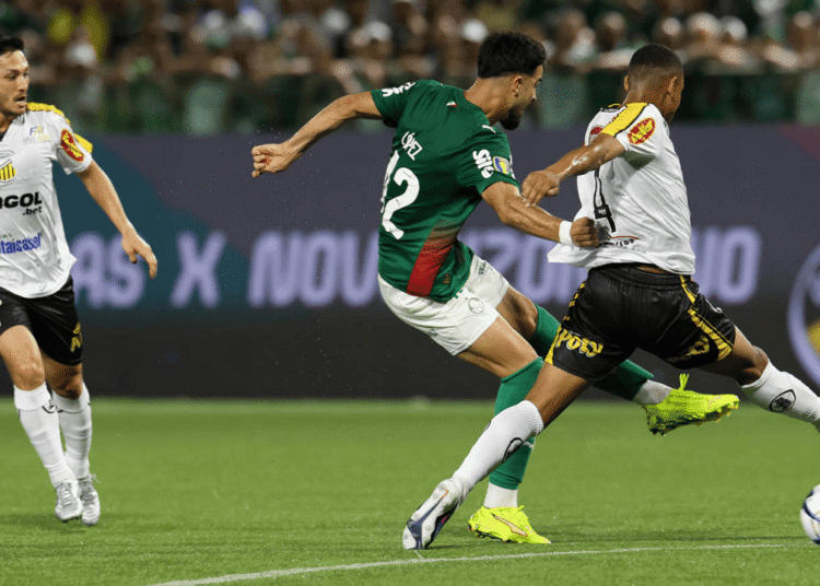 Oyama Novorizontino Palmeiras