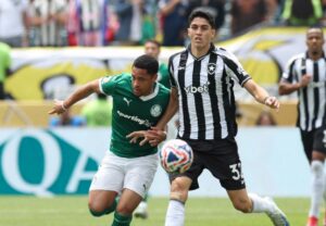 Palmeiras x Botafogo: Como assistir ao vivo e horário