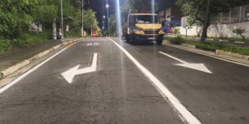 Avenida Nelson Pereira Bueno