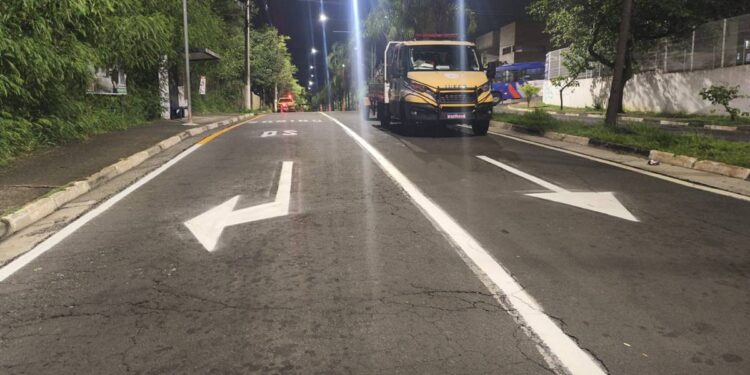 Avenida Nelson Pereira Bueno