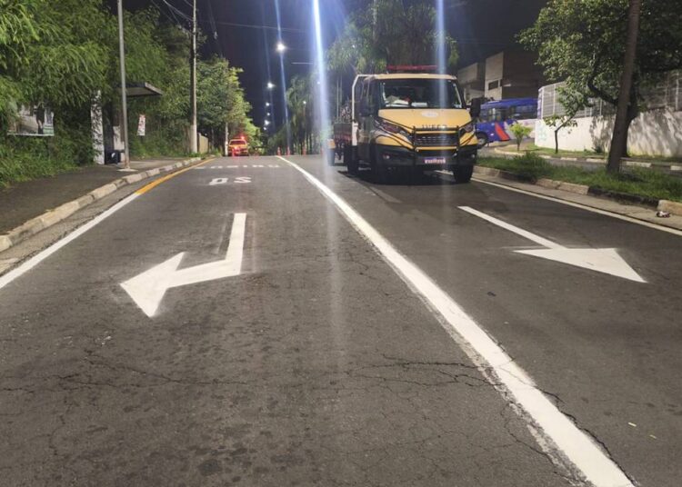 Avenida Nelson Pereira Bueno