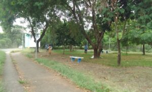 Hortolândia intensifica mutirão de zeladoria em praças e parques