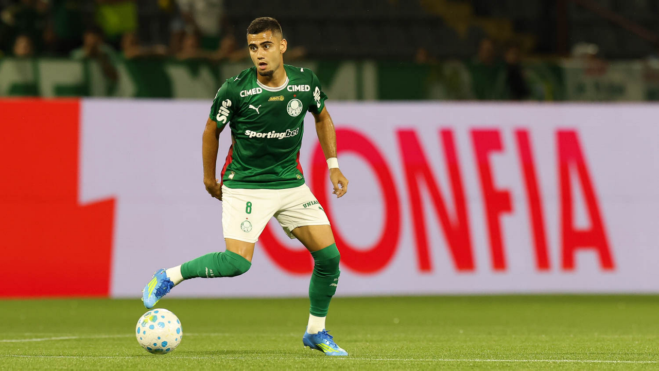 palmeiras