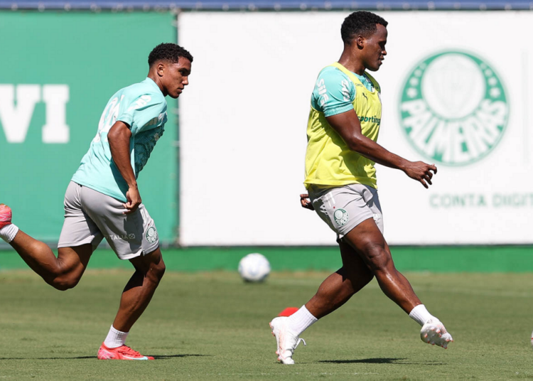 Palmeiras