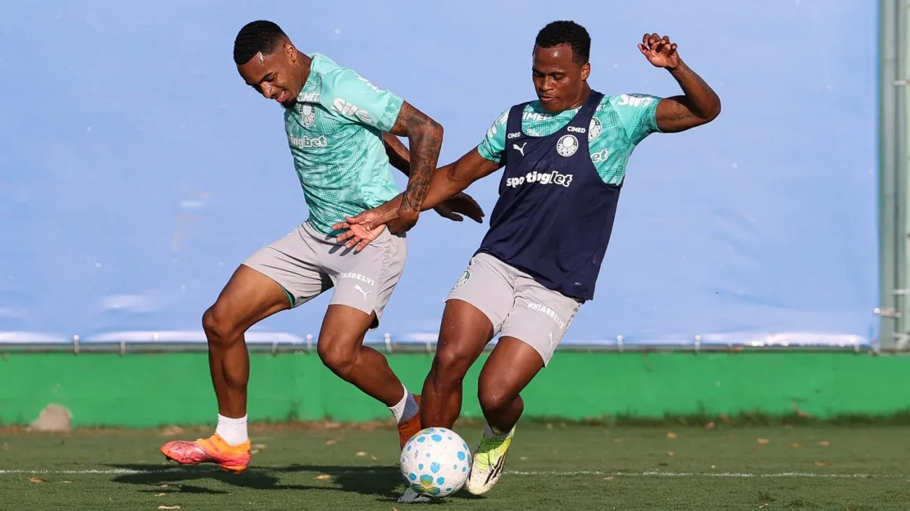 Palmeiras
