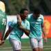 Palmeiras