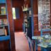 biblioteca ambiental