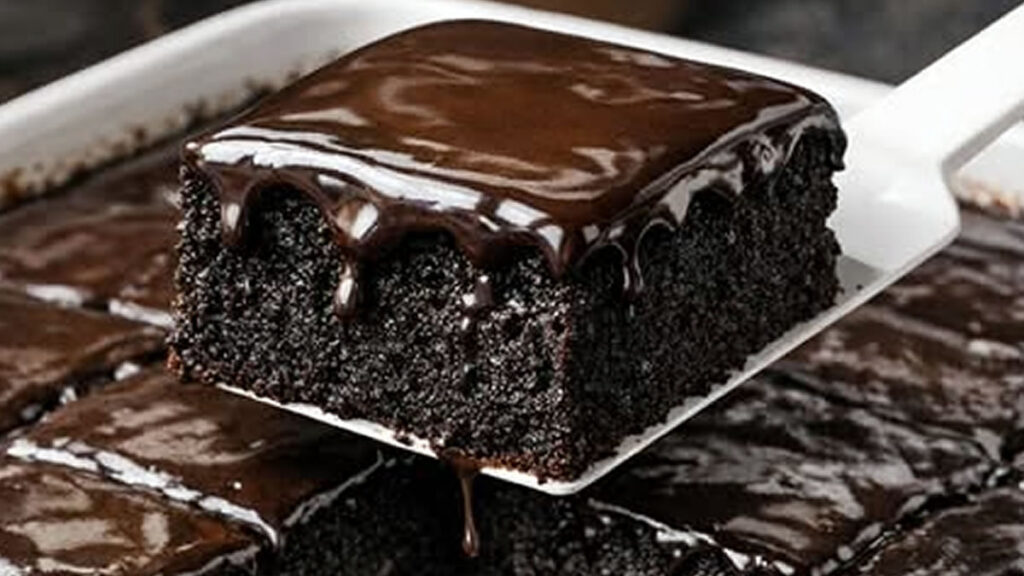 Bolo Nega Maluca Zero Açúcar