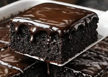 Bolo Nega Maluca Zero Açúcar