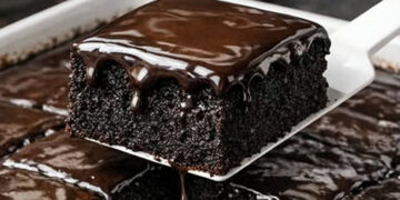 Bolo Nega Maluca Zero Açúcar