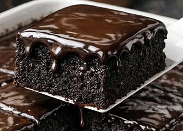 Bolo Nega Maluca Zero Açúcar