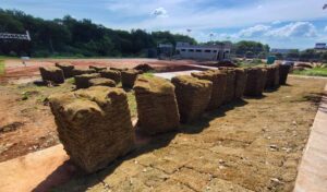Campo da Mina recebe plantio de nova grama e será reaberto no próximo semestre para o futebol amador