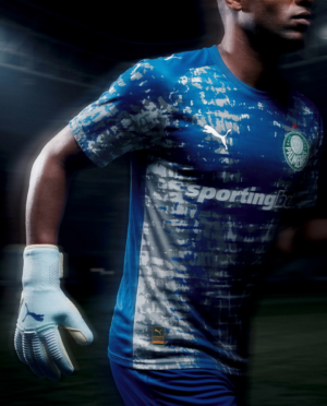 Palmeiras lança camisa de goleiro 2026 especial; veja as fotos