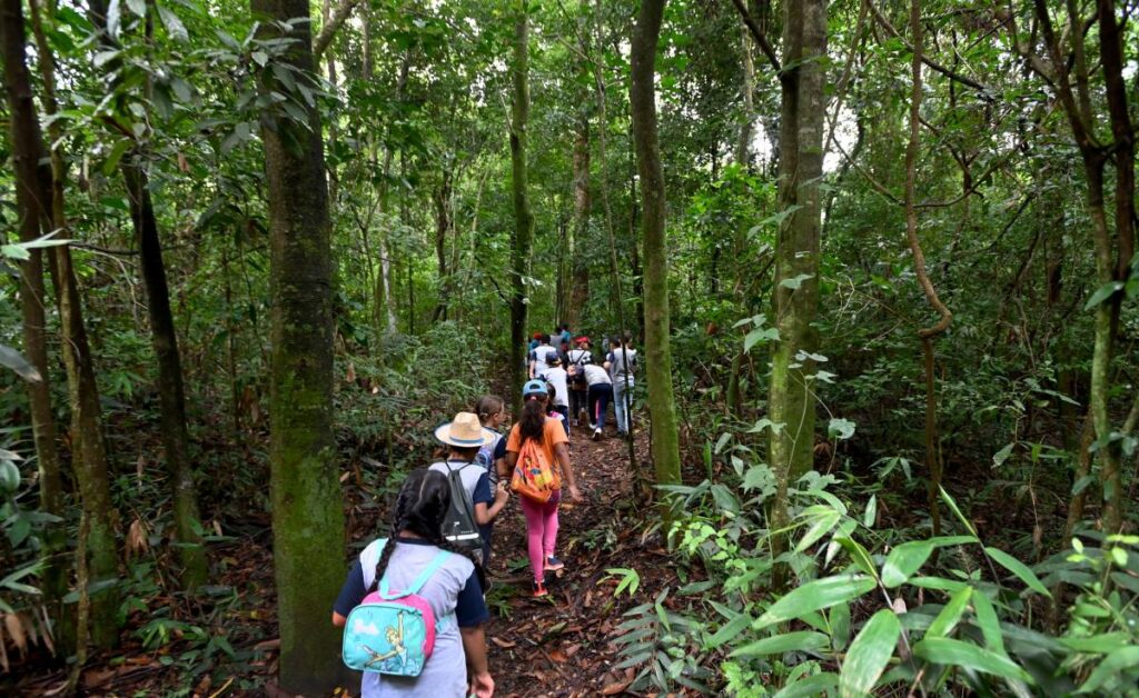 Mata de Santa Genebra