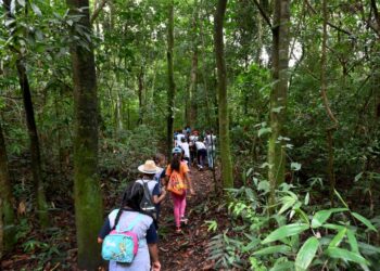 Mata de Santa Genebra