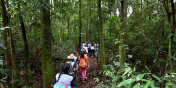 Mata de Santa Genebra