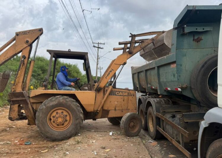 Mutirão de limpeza em Hortolândia