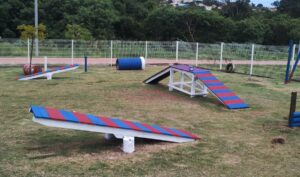 Parcão do Lago da Fé é revitalizado e reaberto para pets e tutores em Hortolândia