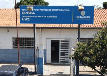 vacinação antirrábica