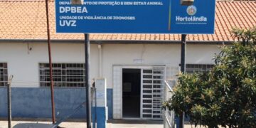 vacinação antirrábica