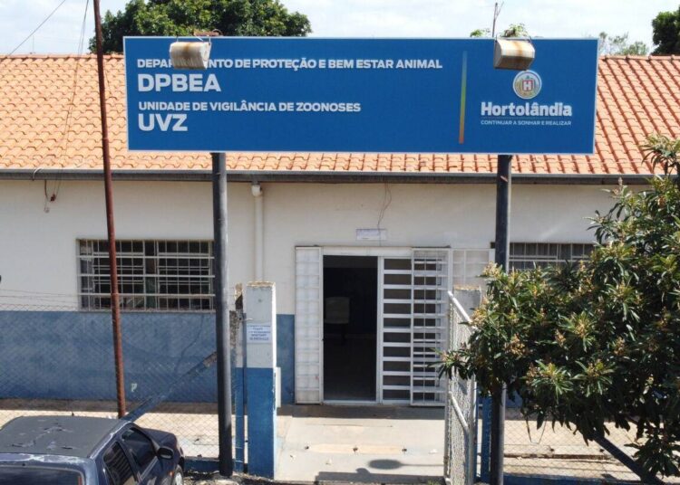 vacinação antirrábica