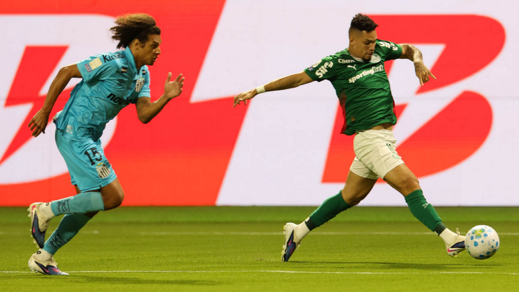 Palmeiras paulinho