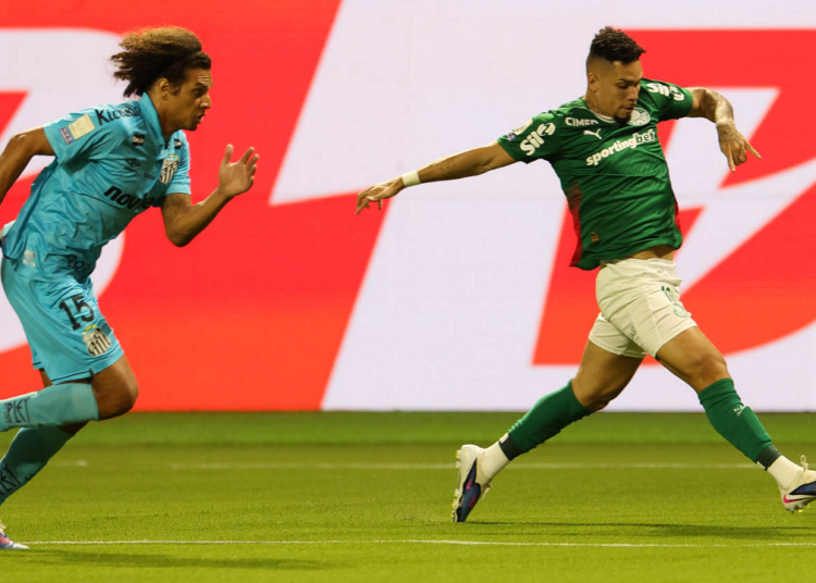 Palmeiras paulinho