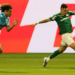 Palmeiras paulinho