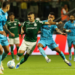 Palmeiras
