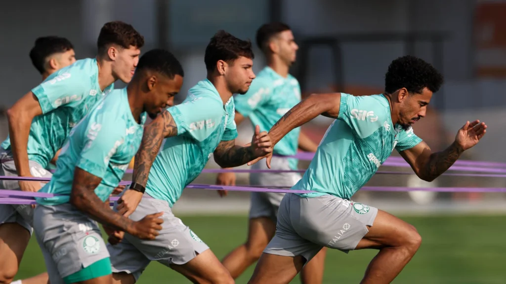 Palmeiras evangelista