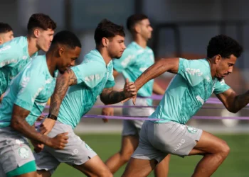 Palmeiras evangelista