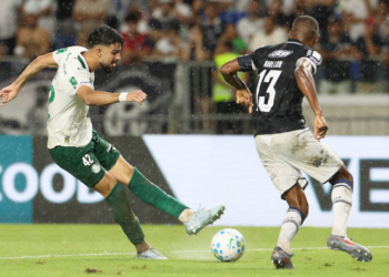 Argentina palmeiras