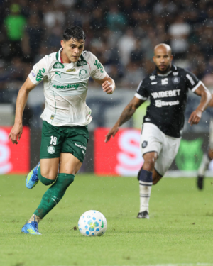 Palmeiras vê vantagem cair e Flamengo encostar