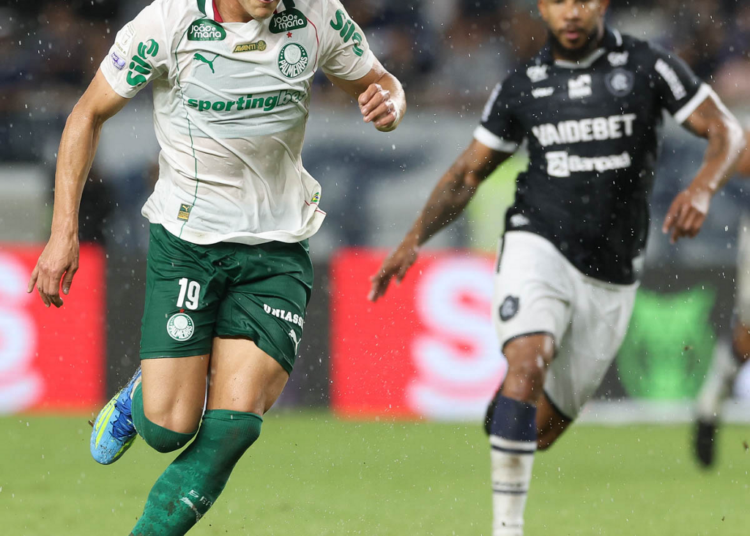 Palmeiras