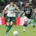 Palmeiras